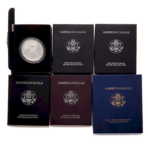 US American Eagle Silver and Gold Proof