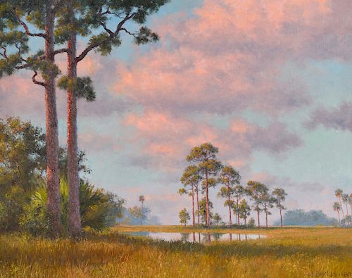 Beanie Backus 'Pink Clouds Over the Everglades'