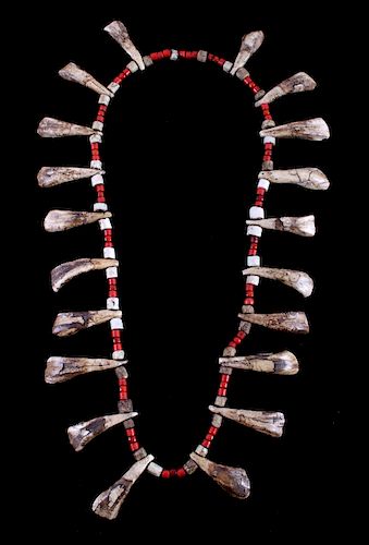 Plains Indian Trade Bead & Buffalo Tooth Necklace