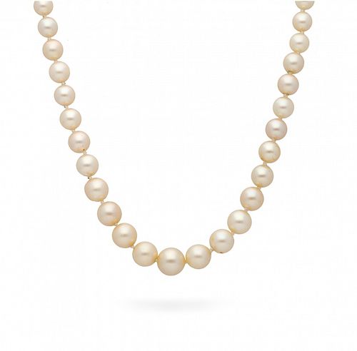 Choker with pearls in gradient  Gargantilla de perlas en degradé