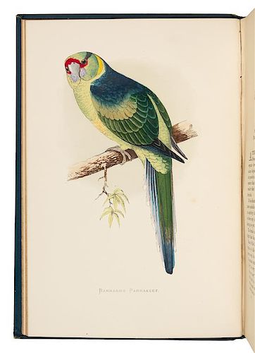 * [NATURAL HISTORY]. GREENE, William Thomas. Parrots in Captivity. London: George Bell and Sons, 1884-1887.