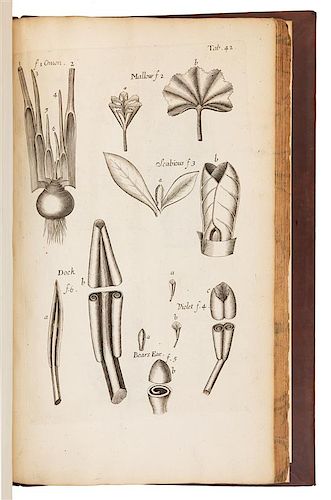 * [NATURAL HISTORY]. GREW, Nehemiah (1641-1712). The Anatomy of Plants. With an Idea of a Philosophical History of Plants. Londo