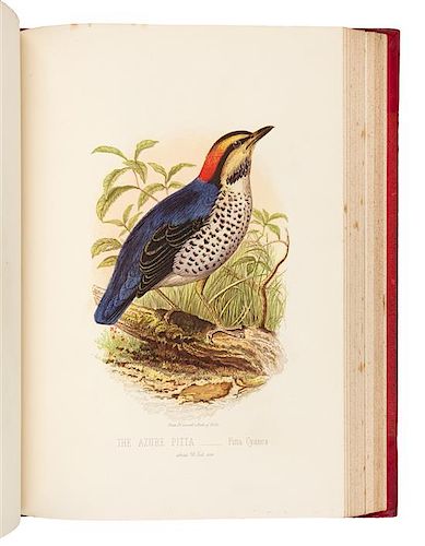 * [NATURAL HISTORY]. JONES, Thomas Rymer (1810-1880). Cassell’s Book of Birds. London: Cassell, Petter, and Galpin, [ca 1870].