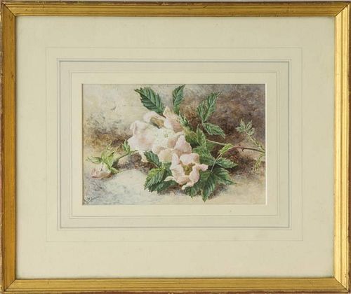 HELEN CORDELIA COLEMAN (1847-1884): WILD ROSES