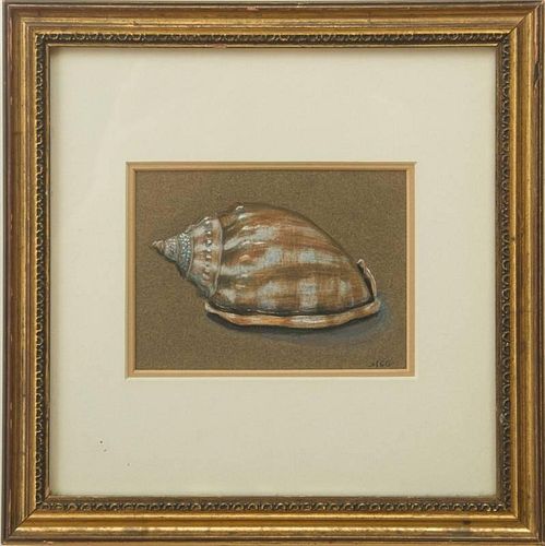 MARY C. GREENWAY: STUDY OF A SHELL