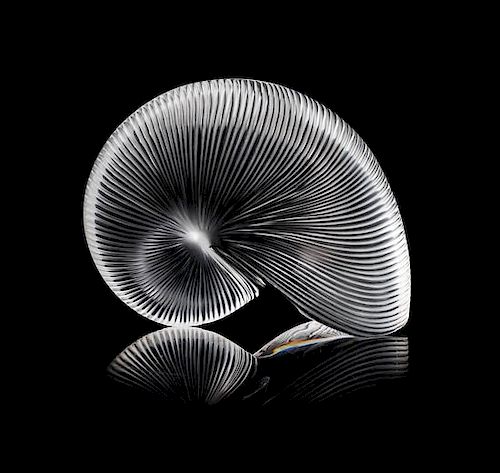 A Baccarat Frosted Nautilus Ornament Width 6 1/4 inches.