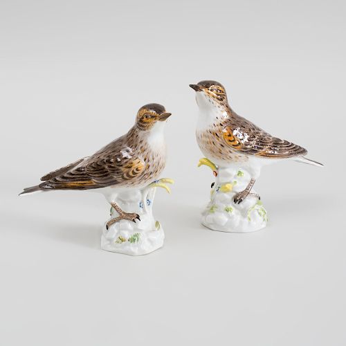 Pair of Meissen Porcelain Models of Birds