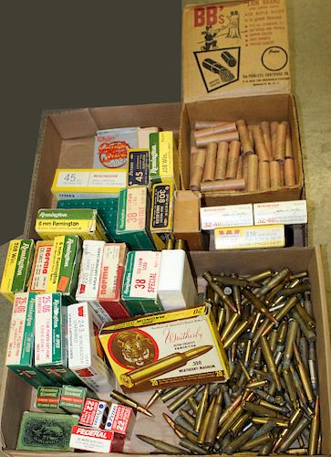 Lot of loose ammo