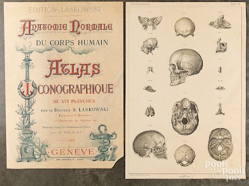 Anatomie Normale Du Corps Humain Atlas