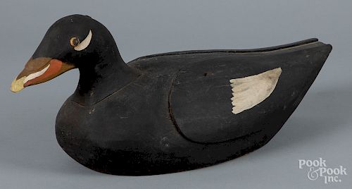 Carved and painted scoter decoy