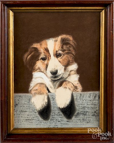 Pastel dog portrait, 12 1/2" x 9 1/4".