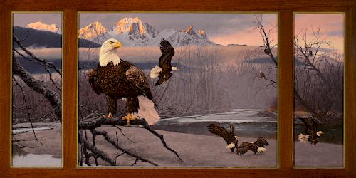 Greg Beecham (b. 1954), Chilkat Eagles