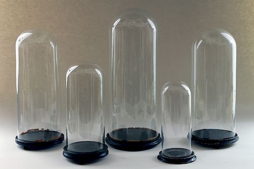 COLLECTION 5 GLASS DISPLAY DOMES EBONIZED BASES