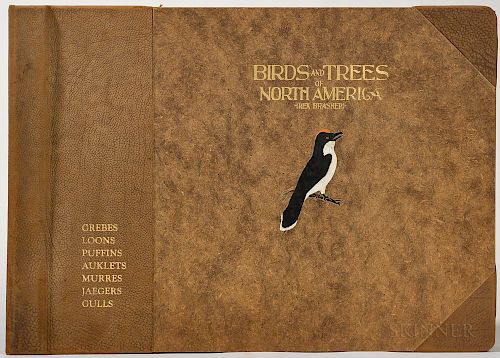 Brasher, Rex (1869-1960) Birds and Trees of North America.