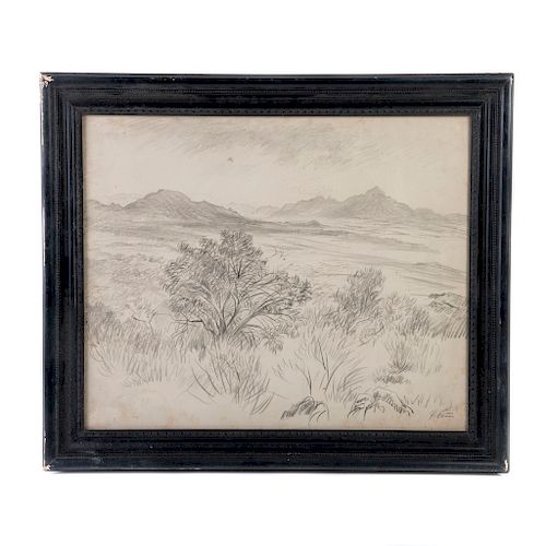 Feliciano Peña (Silao, Guanajuato, 1915 - Ciudad de México, 1982) Paisaje y arbustos con los volcanes. Lápiz de grafito sobre papel.