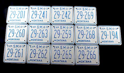 Collection of Montana Special Mobile Plates