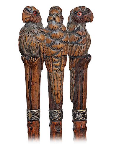 89. Fruit Wood Parrot Cane -Ca. 1900 -Very large fruit wood handle carved to depict a parrot perched atop of a wood stem, chased silver collar, knobby