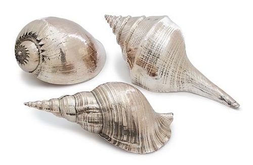 A Collection of Silvered Seashells Length of largest 21 inches.