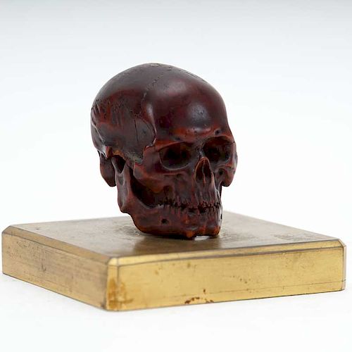 Japanese Boxwood Skull
