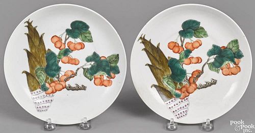 Pair of Chinese porcelain plates with cherry blossoms and a Kwang Hsu six-character mark