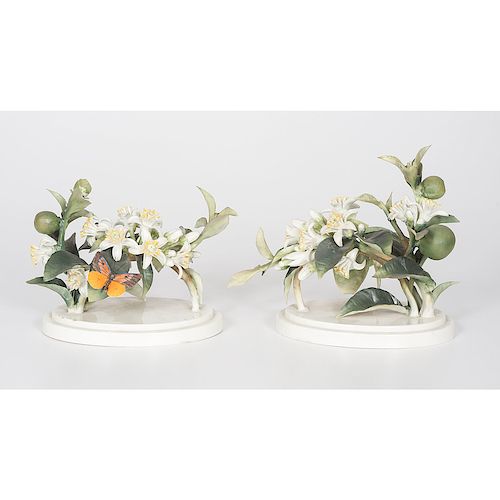 Royal Worcester Dorothy Doughty Orange Blossoms with Butterflies