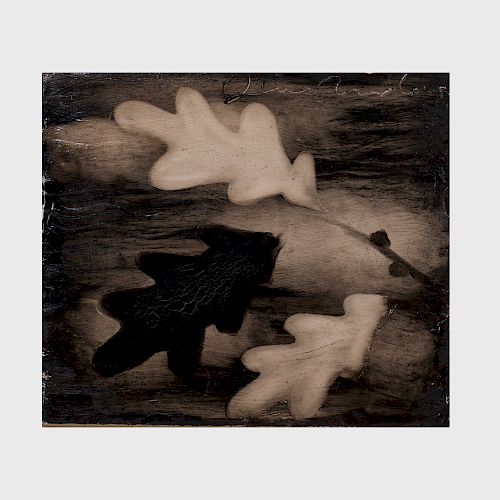 Joe Andoe (b. 1955): Untitled (Oak Leaves)