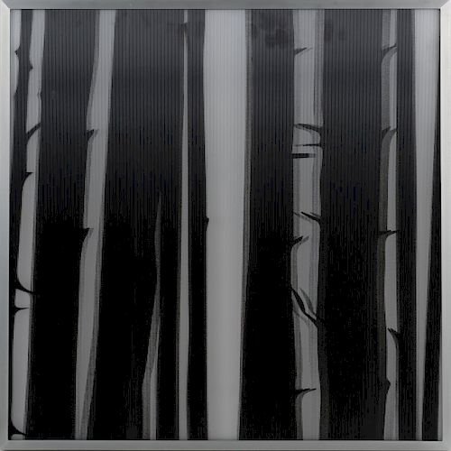 'Forest', 2015