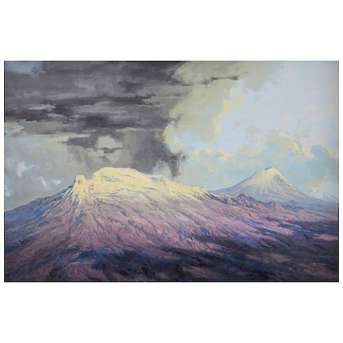 RAYMUNDO MARTÍNEZ, Vista de los volcanes.