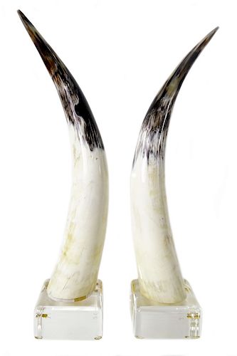 Pair of Fine Quality Presentation Tusks on Lucite