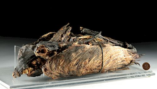 Egyptian Mummified Ibis - ex-Royal Athena