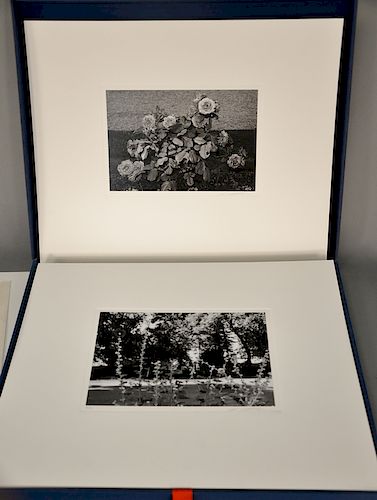 Lee Friedlander (b. 1934), "Photographs of Flowers by Lee Friedlander", Graphic Studio/Haywire Press 1975 portfolio, portfolio of...