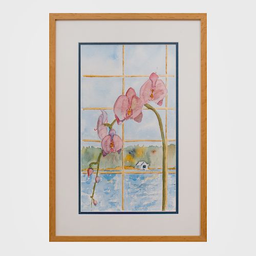 Billy Rayner: Orchid in Window