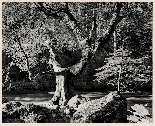 Ansel Adams (American, 1902-1984)  Morning, Merced River Canyon