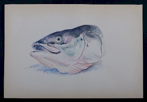Lucian Michael Freud 1944 Fish Watercolor Style