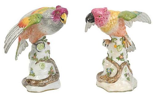 Pair Continental Porcelain Parrots