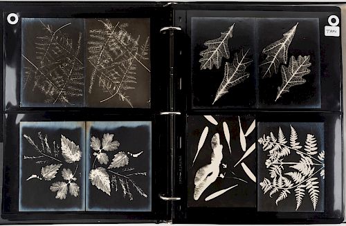 AN EXCEEDINGLY RARE COLLECTION OF 215 AVANT-GARDE PHOTOGRAPHS AND PHOTOGRAMS BY MIKHAIL MIKHAILOVICH TARKHANOV (RUSSIAN 1888-1962)