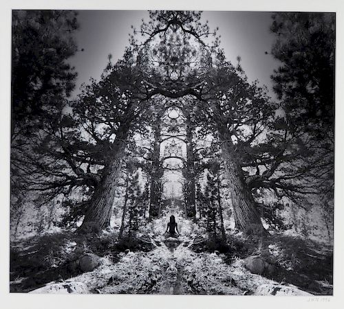 Jerry Uelsmann Surreal Redwood Pagoda Photograph
