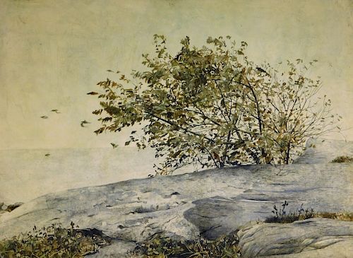 John Doyle Coastal Cliffside Landscape Painting