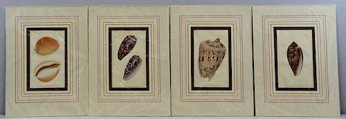 Set of 4 Hand Colored Engravings After