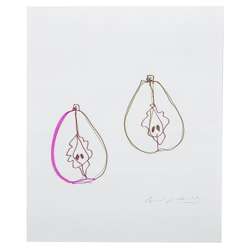 Andy Warhol. Sliced Pears, marker on paper