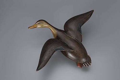 Rare Flying Black Duck, Ira Hudson (1873-1949)