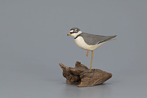 Semipalmated Plover, George S. Gibb (1916-1989)