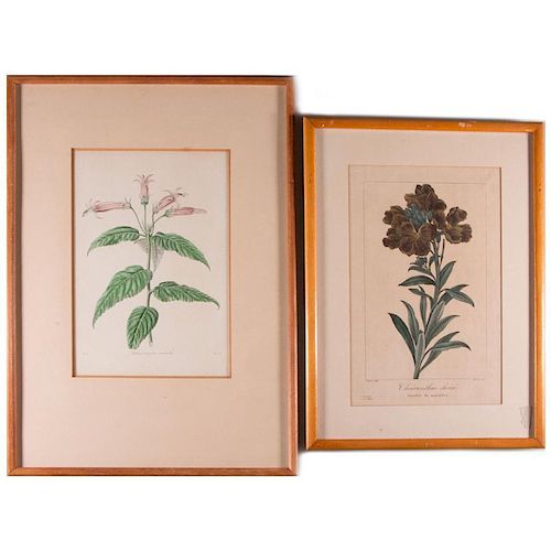 Two framed hand colored etchings.