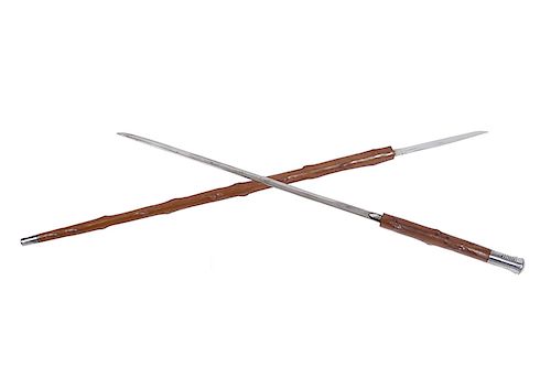 Double Blade Sword Cane
