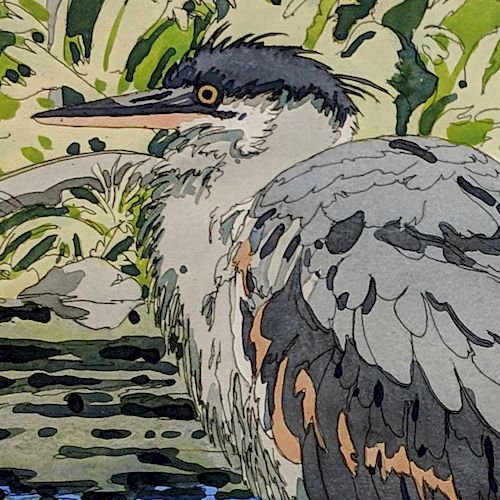 Neil Welliver - Immature Great Blue Heron