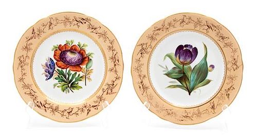 A Pair of English Porcelain Botanical Plates Diameter 9 1/8 inches.
