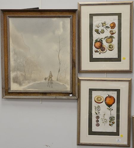 Three framed pieces to include a pair of Jon Jonston Fruit Stdies Arantium Maximum and Distortum sight size 15 1/4" x 10" and Eduard...
