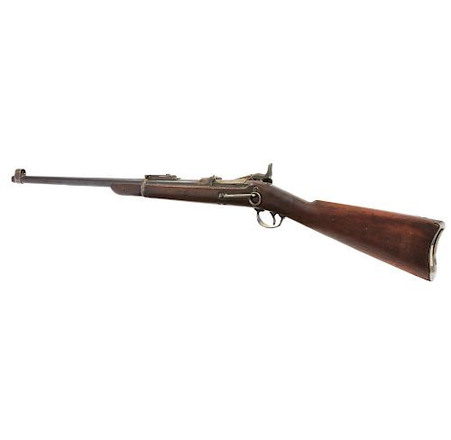 Springfield Model 1873 Trapdoor Carbine