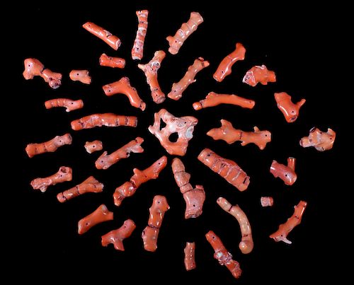 Collection of Red Branch Coral Necklace Pieces