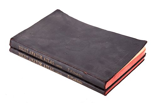 1900 Dr. Carl Toldt Anatomic Atlas Two Volume Set